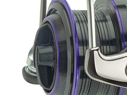 Amazon | Daiwa Prorex XR Spinning釣りリールフロントドラッグ